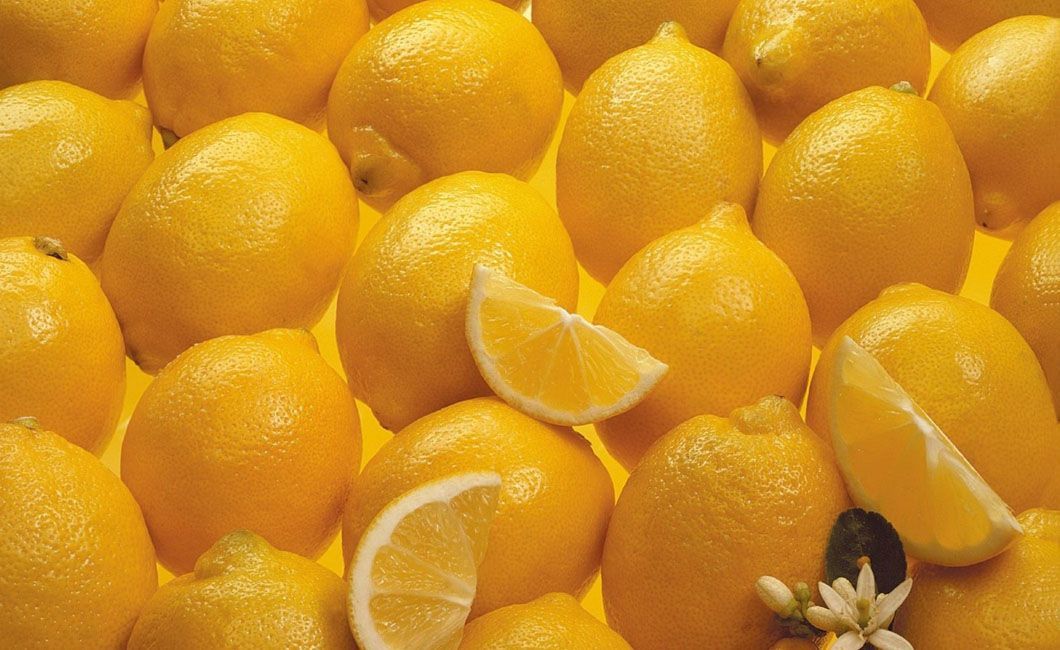 lemon suppliers, Egyptian lemon suppliers